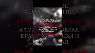 #цитаты #афоризмы #жизнь #мудрыеслова #мудрыемысли #мотивация #shorts