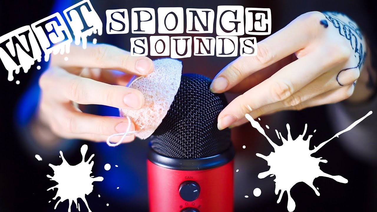  ASMR WET SPONGE Microphone Tapping Wet And Dry Makeup Sponge Sound NO TALKING YouTube
