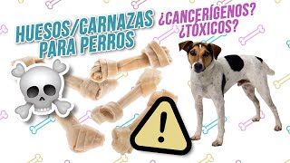 ¿Son malos los HUESOS PRENSADOS o CARNAZAS para PERROS? | ¿Son peligrosos para tu mascota?