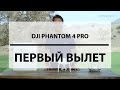 DJI Phantom 4 Pro. Первый вылет