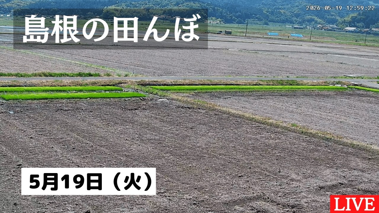 2026/5/19】田んぼの様子をライブ配信！24時間いつでも確認できます