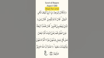 #quran #تلاوة_قرآن #القرآن_الكريم #qurankareem #quranforthesoul #خشوع #تلاوة_مؤثرة #تلاوة_خاشعة