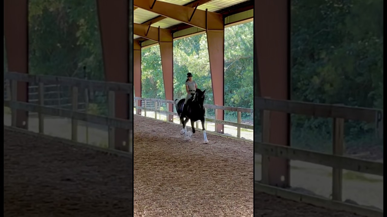 Leg Yield At The Canter 