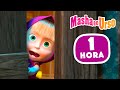 Masha e o Urso 👱‍♀️🐻 🌷🌱Onde as flores desabrocham 🌱🌻 Compilação 17 🎬 1 hora de desenhos animados