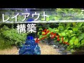 グッピー 水槽 レイアウト 142084-グッピー 水槽 レイアウト