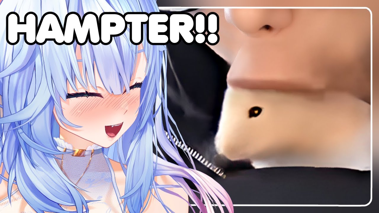 THE FORBIDDEN SNACK!! | Mifuyu Reacts to UNUSUAL MEMES COMPILATION V253