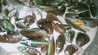 TAHONG SA GATA THE BEST ULAM | Creamy Mussel Philippines