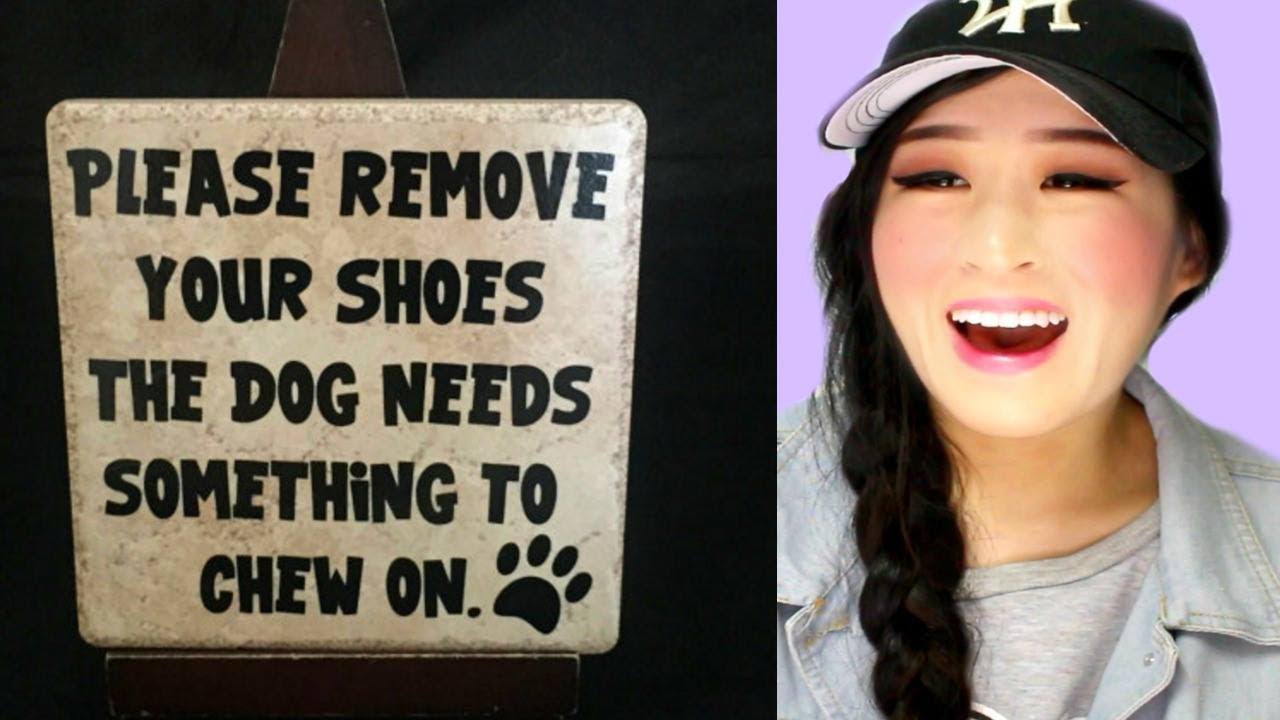 Hilarious Signs Every Dog Owner Needs To See YouTube