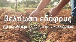 🌱 Πώς βελτιώνουμε το έδαφος για μεγαλύτερη απόδοση - Τα Μυστικά του Κήπου