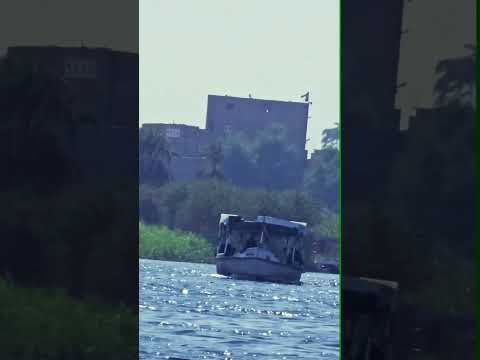 عادل امام القماش