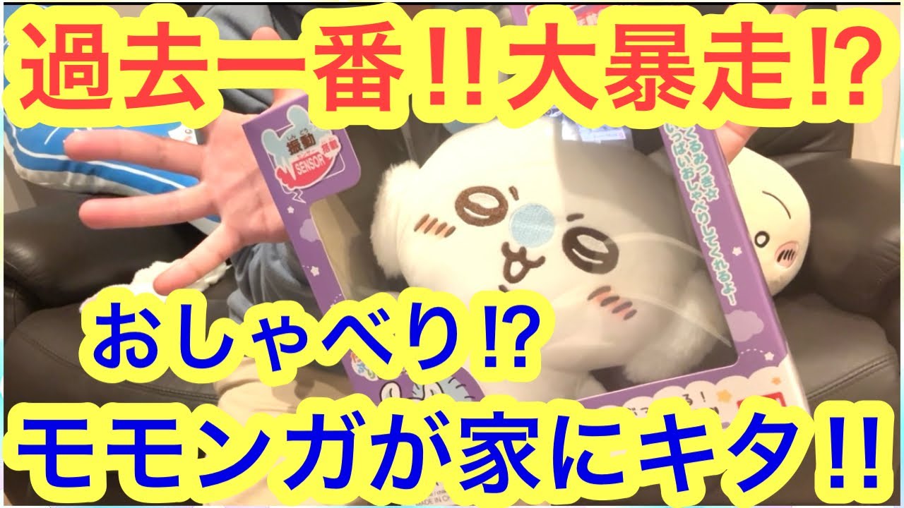 Chiikawa] The Talkative Flying Squirrel Was the Most Unruly Ever