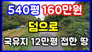 군유지 12만평 접한 시골땅! 540평 160만원 이런 싼땅도 있습니다. 토지경매 경매토지 포항경매 포항부동산 포항토지 촌땅 시골땅 #착한부동산