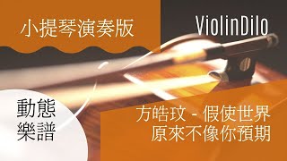 方皓玟 | 假使世界原來不像你預期 | 小提琴演奏版 violin cover by Franky Ngai | ViolinDilo