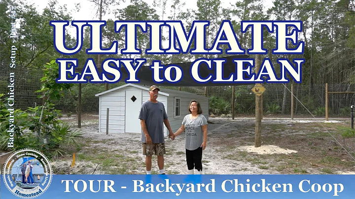 ULTIMATE (EASY to CLEAN) Backyard Chicken Coop Des...