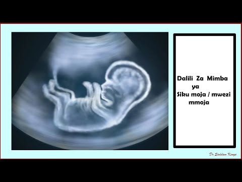 Dalili Za Mimba Ya Siku Moja Dalili Za Mimba Ya Mwezi Mmoja Ujauzito Shorts