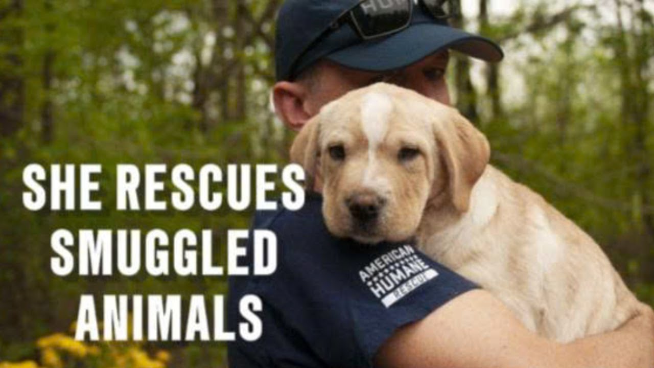 She’s the One Law Enforcement Calls to Rescue Smuggled Animals