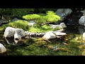 Relaxation  sounds of nature  koi pond and waterfall   2 hours