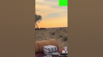 قران كريم مؤثر صلوا على النبي صل الله عليه وسلم #مشاركة #اكسبلور
