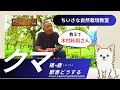【自然栽培】クマ被害はみんなで対策することが大切【木村秋則さん】