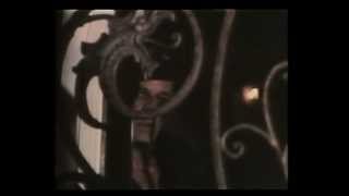 David Paulsen's Schizoid [Danish VHS trailer]