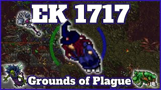 EK 1717 Hunt | Grounds of Plague (Plag Seal -1) - 8.7~9.2kk/h Raw & 3kk+ Profit | Tibia screenshot 4