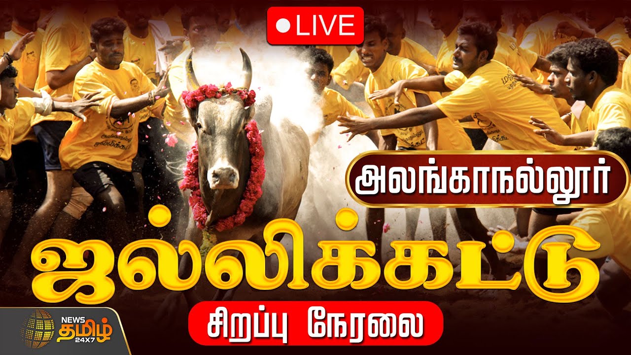 🔴LIVE: Alanganallur Jallikattu Live | அனல் பறக்கும் அலங்காநல்லூர் ஜல்லிக்கட்டு | Madurai Jallikattu