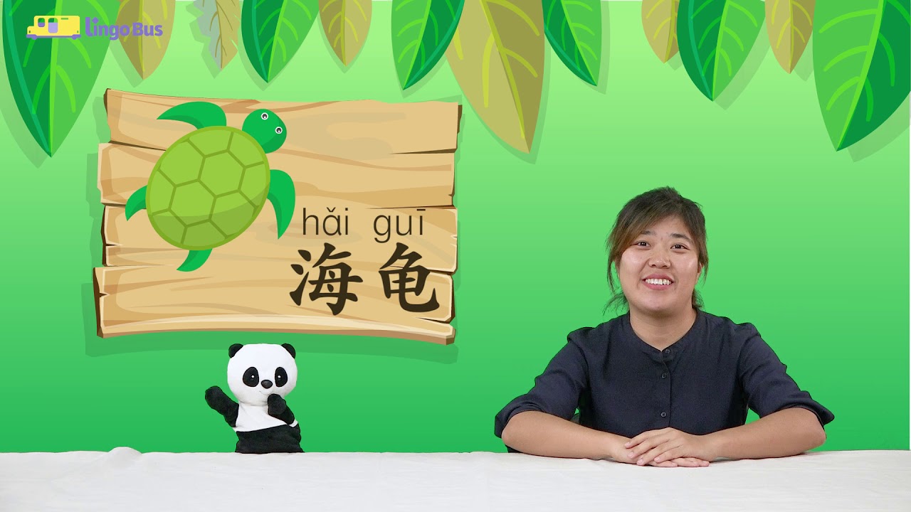 How to Say These Animals in Chinese? | Learn Mandarin with Lingo Bus' Panda