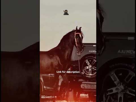 Subscribe For New Video Link Https Www Capcut Com Tv2 ZThygqsBc 