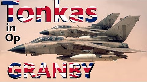 Most DARING mission flown on Night ONE | RAF TORNADO GR.1