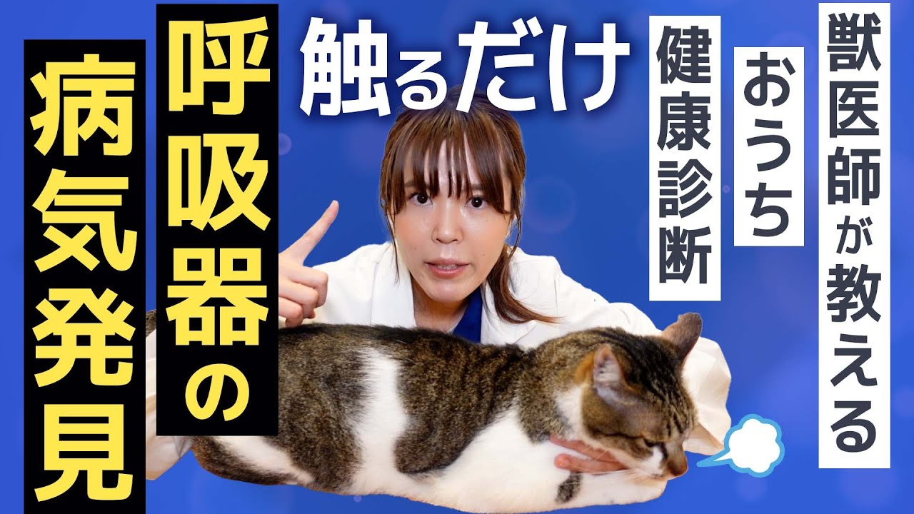犬や猫の病気を早く見つけて命を守る！ 呼吸の怖い病気を早く見つける