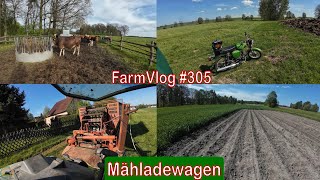 Farmvlog #305: Läuft der Mähladewagen?! | Rinder kommen auf die Weide | AKF mit Simson