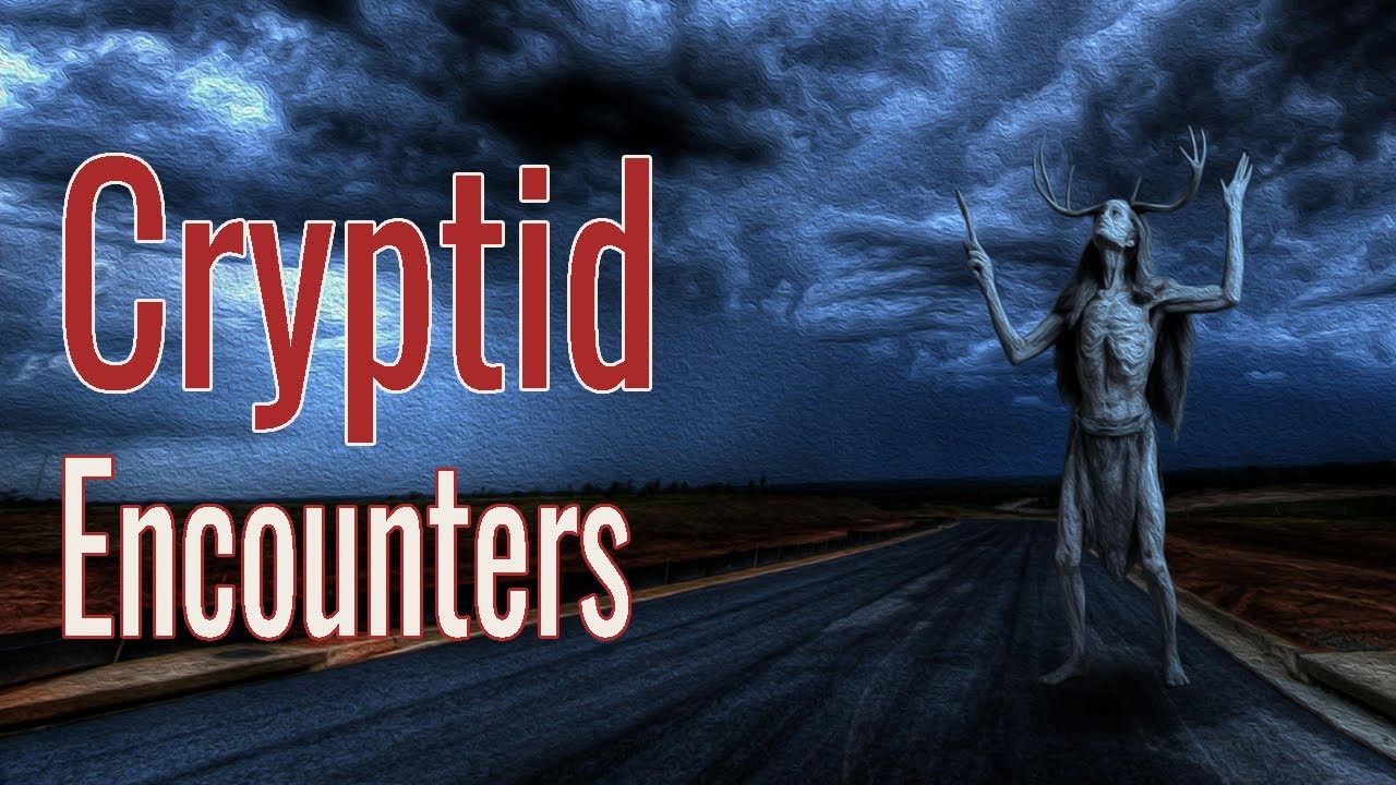 Creepy Cryptid Encounters I Heard at My Church's Harvest Party - YouTube