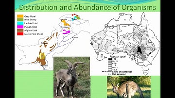 Introduction to Ecology and Biosphere.flv