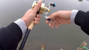 Câu cá lóc mùa đông và cá kết" trách ai bây giờ"