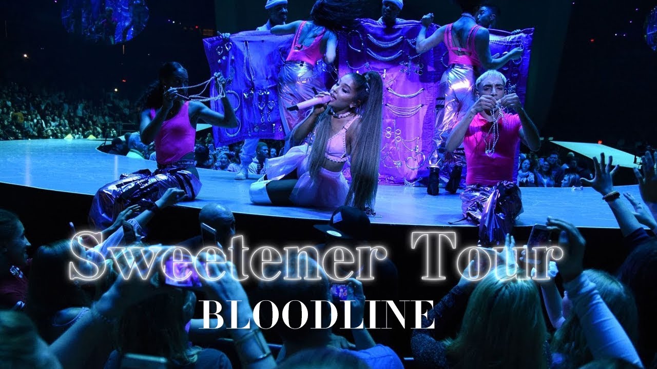 Bloodline x pony ariana