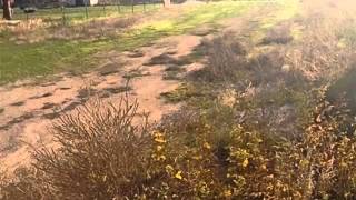 Homes for Sale - 682 N 3500 W Vernal UT 84078 - Freida Parker