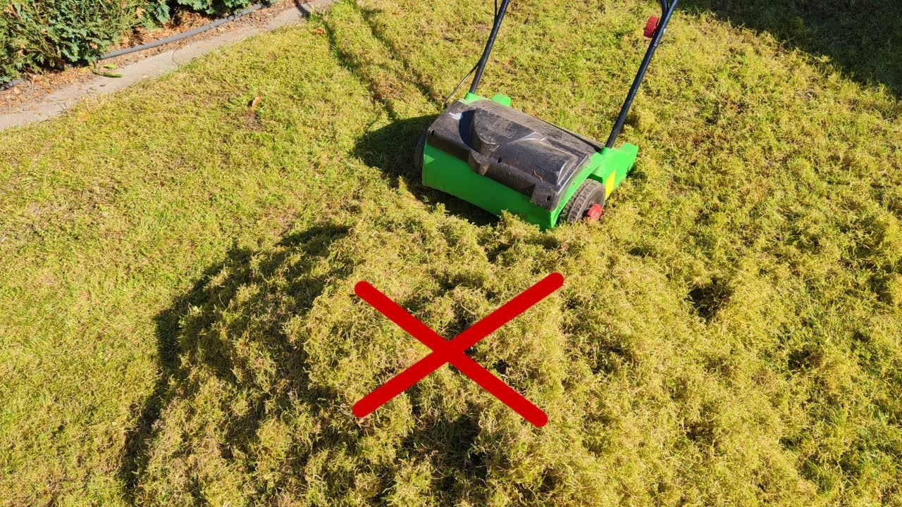 Rasen vertikutieren: bitte mach nicht diese 8 Fehler!