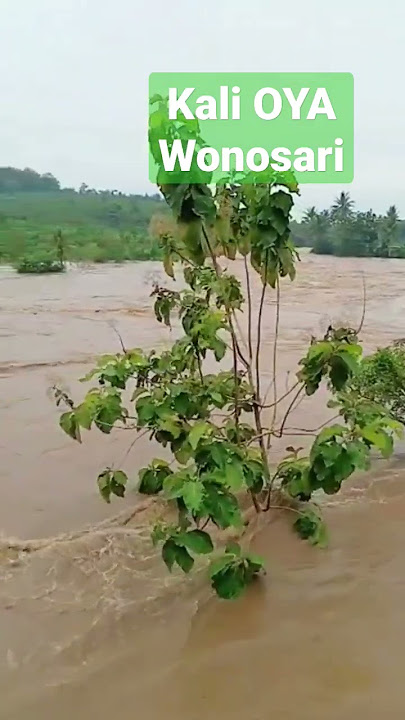 #banjir #kali OYA #wonosari #gunungkidul JOGJAKARTA