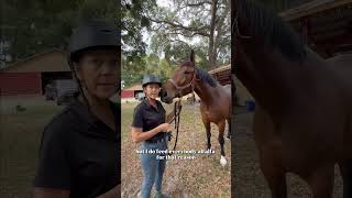 The reason horse owners feed Alfalfa hay #shorts #horses #horsefeed #hay #horseracing