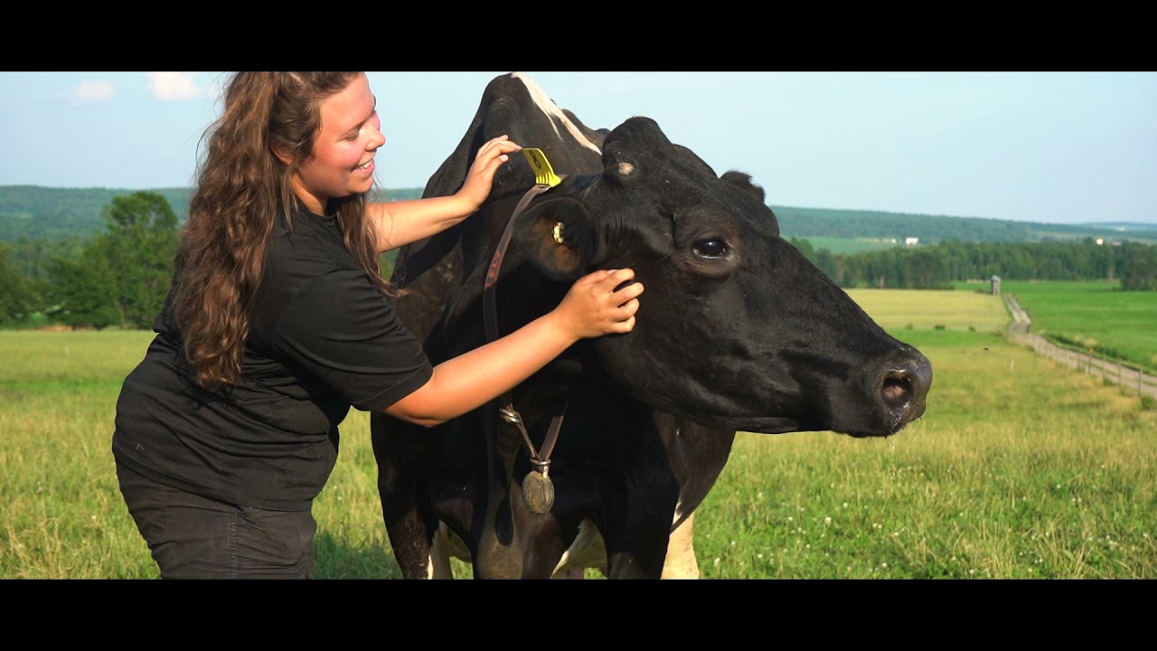 Fromagerie du Presbytère - La route du fromage
