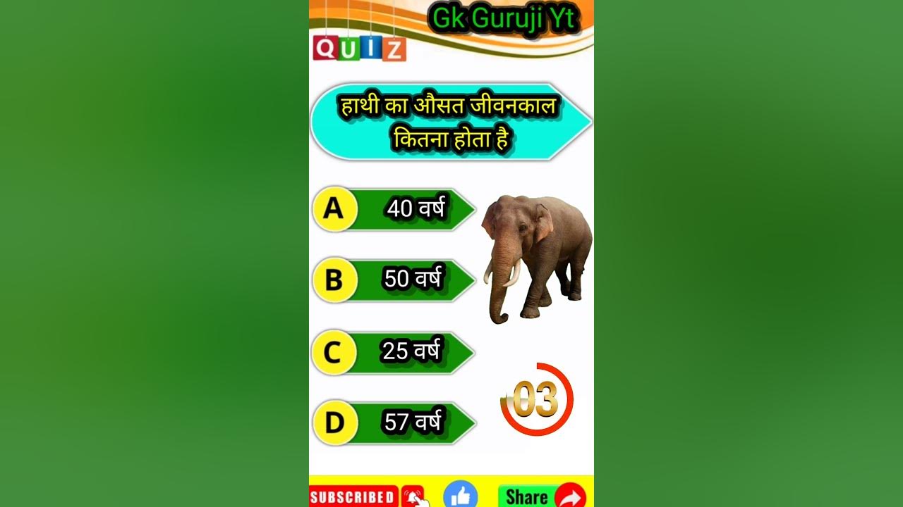 xl-size-meaning-in-hindi-xl-size-ka-matlab-kya-hota-hai-youtube
