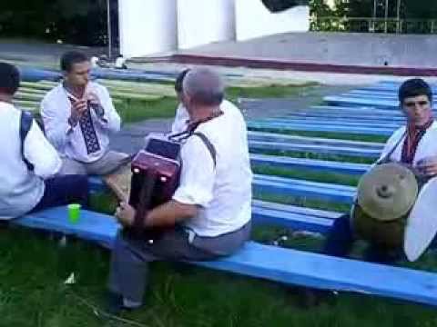 гурт брати Павлючки 