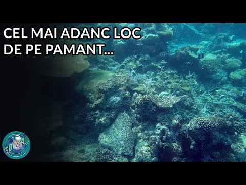 Video: Care Este Cel Mai Adânc Râu