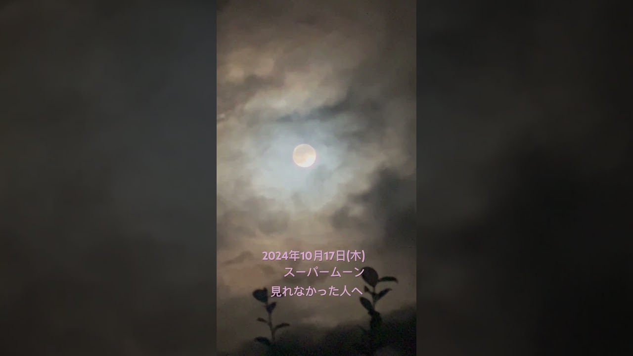 #スーパームーン#満月#2024