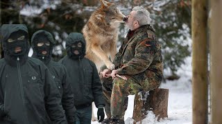 Волк спас старика от бандитов, но какой ценой, никто не ждал такой развязки