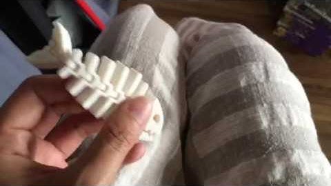 3D print fish bone (test)