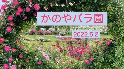鹿屋バラ園 Youtube