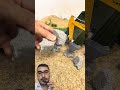#automobile #hotwheels #toys #rccar #carrosrc #rc #rccars #viral #shortvideo #axial #minirc #rcfun