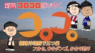 フカセorかかりorウキダンゴ、どの釣り方でチヌが釣れる?真夏の沖堤防でのチヌ狙い~堤防コロコロ隊が行く 前編