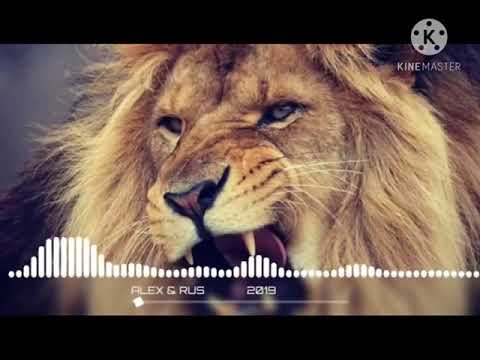 اغنية الاسد ريمكس 2020